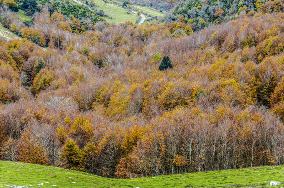 Comunidad Foral de Navarra 018 - valle de Salazar.jpg